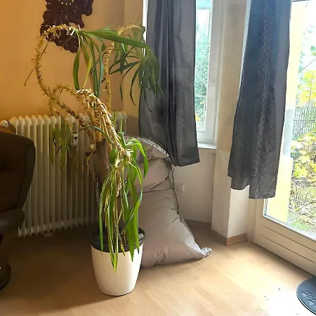 Apartament Propert In